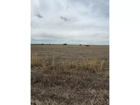 Peoria Crossing Rd, Wiggins, CO 80654 photo 2