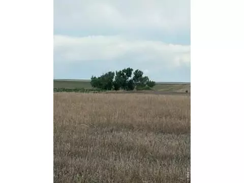 Peoria Crossing Rd, Bennett, CO 80102