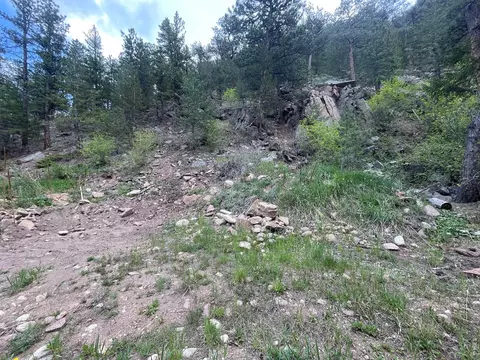 555 Riverside Dr, Lyons, CO 80540 photo 2