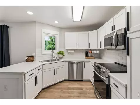 245 Plum Ct, Windsor, CO 80550 photo 3