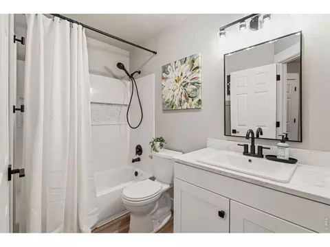 245 Plum Ct, Windsor, CO 80550 photo 19