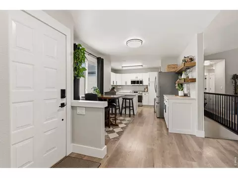 245 Plum Ct, Windsor, CO 80550 photo 8