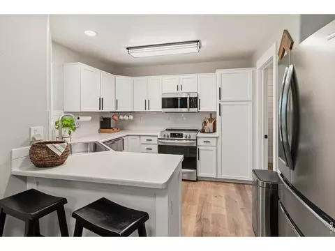 245 Plum Ct, Windsor, CO 80550 photo 5