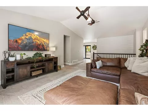 245 Plum Ct, Windsor, CO 80550 photo 22
