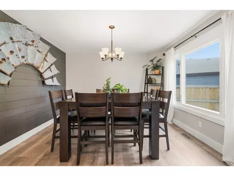 245 Plum Ct, Windsor, CO 80550 photo 6