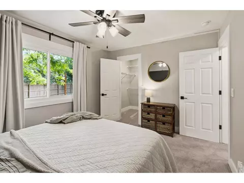 245 Plum Ct, Windsor, CO 80550 photo 18