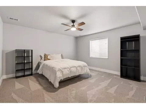 245 Plum Ct, Windsor, CO 80550 photo 23