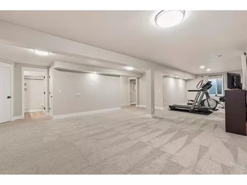245 Plum Ct, Windsor, CO 80550 photo 15
