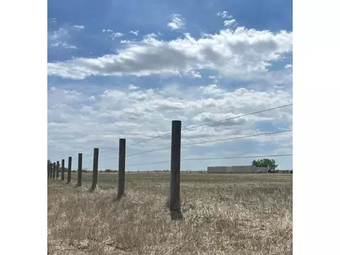 73550 E 160th Ave, Wiggins, CO 80654 photo 5