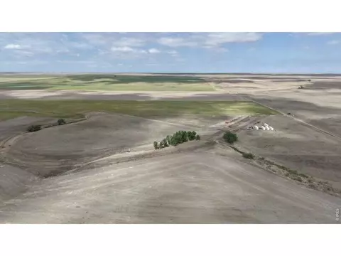 73550 E 160th Ave, Wiggins, CO 80654 photo 2