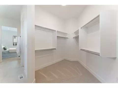 Other - 864 Doubleleaf Dr, Windsor, CO 80550 photo 4 of 4