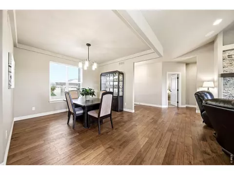 5967 Bay Meadows Dr, Windsor, CO 80550 photo 19