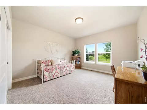 5967 Bay Meadows Dr, Windsor, CO 80550 photo 30