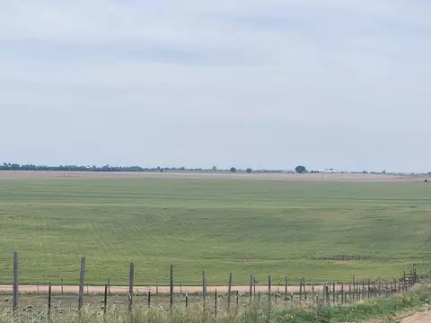 0 Tbd, Wiggins, CO 80654