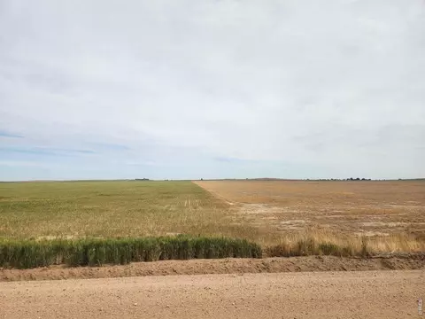 0 Tbd, Wiggins, CO 80654 photo 6