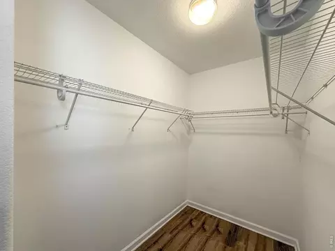 Other - 918 Cliffrose Way, Severance, CO 80550 photo 3 of 8