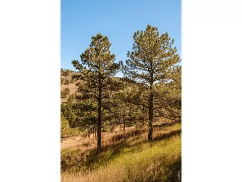 6365 Red Hill Rd, Boulder, CO 80302 photo 3