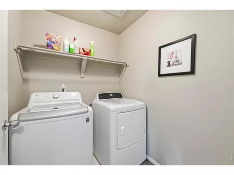 Other - 2273 Stonefish Dr, Windsor, CO 80550 photo 2 of 4