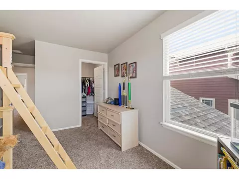 Other - 2273 Stonefish Dr, Windsor, CO 80550 photo 1 of 4