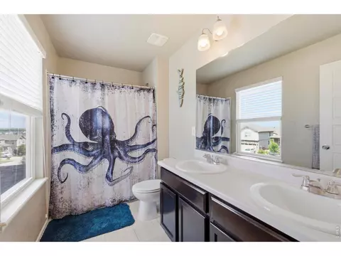 Bath - 2273 Stonefish Dr, Windsor, CO 80550 photo 3 of 3