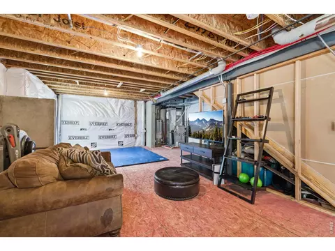 Other - 2273 Stonefish Dr, Windsor, CO 80550 photo 3 of 4