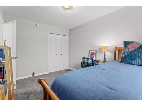 Bedroom - 717 10th St, Windsor, CO 80550 photo 4 of 8