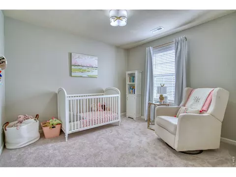 Bedroom - 107 Ibiza Ct, Windsor, CO 80550 photo 3 of 6