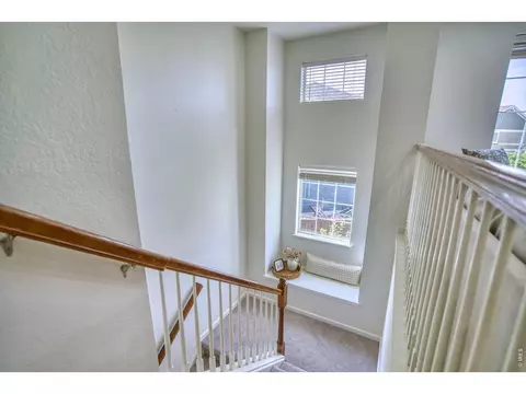 Entry Way - 107 Ibiza Ct, Windsor, CO 80550 photo 3 of 4