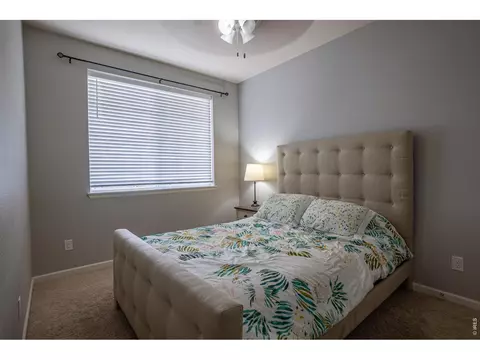Bedroom - 107 Ibiza Ct, Windsor, CO 80550 photo 1 of 6