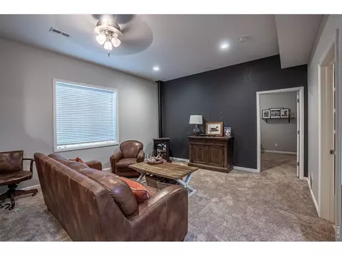 Living - 107 Ibiza Ct, Windsor, CO 80550 photo 7 of 7