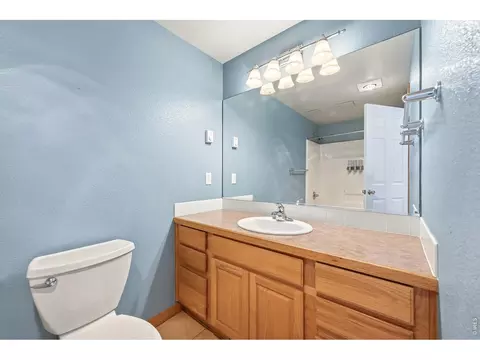 Bath - 256 Choctaw Rd, Lyons, CO 80540 photo 6 of 6