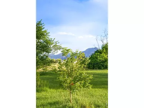 Exterior - 4410 N 51st St, Boulder, CO 80301 photo 2 of 8
