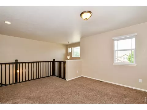 Living - 2157 Longfin Dr, Windsor, CO 80550 photo 7 of 8