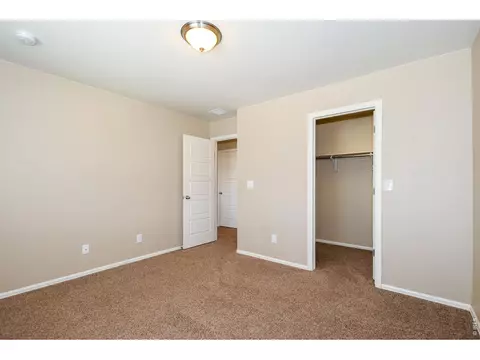 Other - 2157 Longfin Dr, Windsor, CO 80550 photo 7 of 12