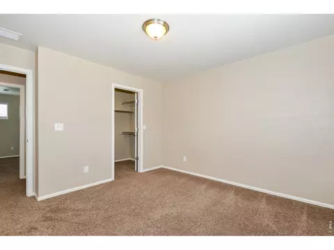 Other - 2157 Longfin Dr, Windsor, CO 80550 photo 6 of 12