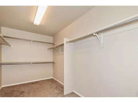 Other - 2157 Longfin Dr, Windsor, CO 80550 photo 3 of 12