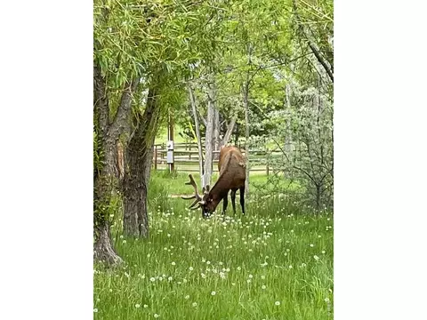 435 Willowrock Dr, Loveland, CO 80537