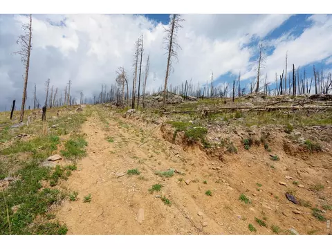 30 Sheep Horn Ct, Bellvue, CO 80512