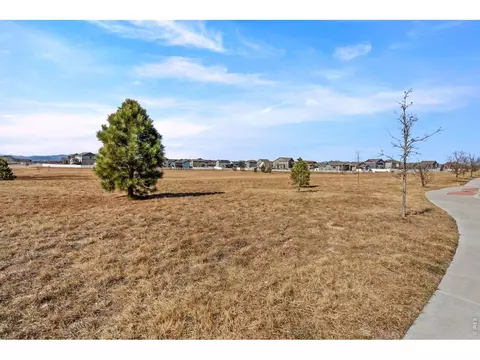 Other - 5599 Clarence Dr, Windsor, CO 80550 photo 2 of 2