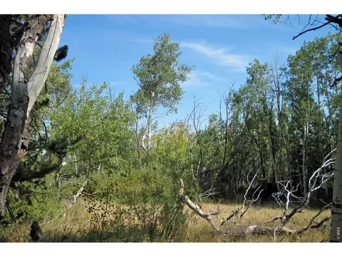 Wilderness Ranch Rd, Sand Creek Township, CO 82070