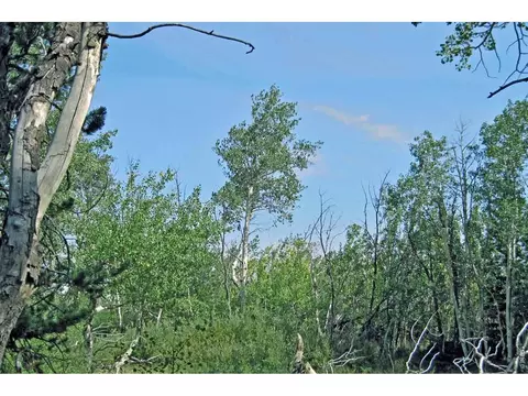 Wilderness Ranch Rd, Sand Creek Township, CO 82070