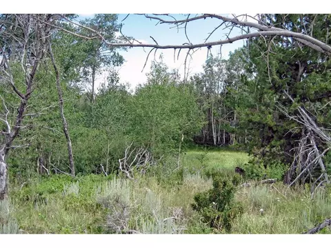 Wilderness Ranch Rd, Sand Creek Township, CO 82070
