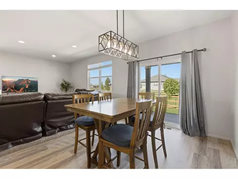 902 Pierson Ct, Windsor, CO 80550 photo 12