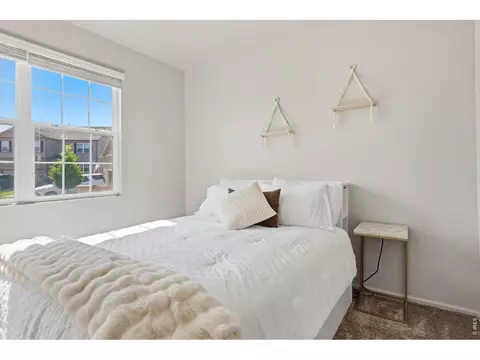 902 Pierson Ct, Windsor, CO 80550 photo 22