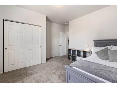 902 Pierson Ct, Windsor, CO 80550 photo 28