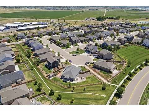 902 Pierson Ct, Windsor, CO 80550 photo 39