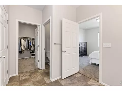 902 Pierson Ct, Windsor, CO 80550 photo 21