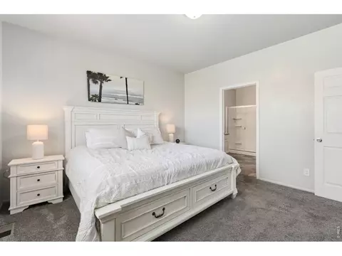 902 Pierson Ct, Windsor, CO 80550 photo 17