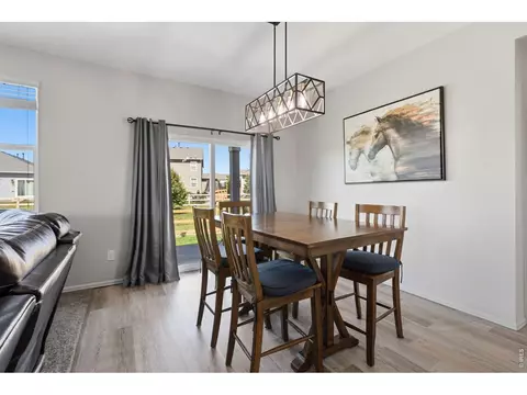 902 Pierson Ct, Windsor, CO 80550 photo 13