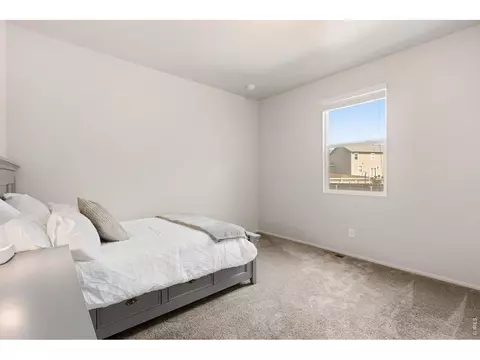 902 Pierson Ct, Windsor, CO 80550 photo 27